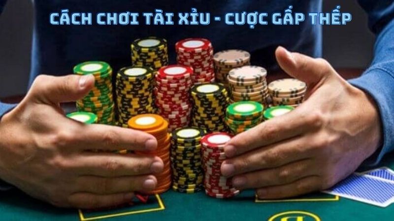 Cược gấp thếp - Chiến thuật huyền thoại trong cá cược tài xỉu online