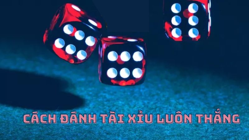 Các cửa cược game tài xỉu với tỷ lệ thưởng đa dạng 