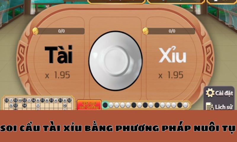 Chọn phương pháp nuôi tụ tài xỉu - Cách soi cầu tài xỉu