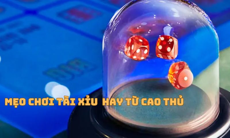 Những mẹo chơi Tài Xỉu hiệu quả nhất từ cao thủ