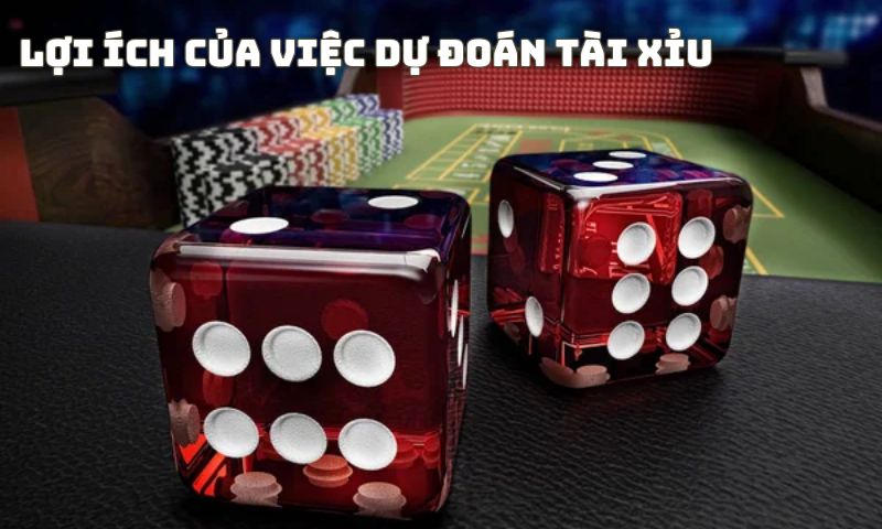 Dự đoán tài xỉu đem lại lợi ích gì cho người chơi khi cá cược?